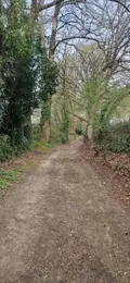 Terrain a batir a vendre Pontivy 56300 Morbihan 56 85085 euros 56062-2303 003