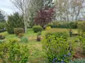 Maison a vendre Artins 41800 Loir-et-Cher 41 71 m2 4 pièces 93800 euros 41059-985 013