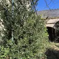 Maison a vendre Candé 49440 Maine-et-Loire 49 259 m2 9 pièces 280800 euros 49095-1665 013
