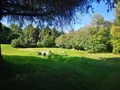 Maison a vendre Pleine-Fougères 35610 Ille-et-Vilaine 35 200 m2 6 pièces 935160 euros MA555 005