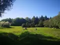 Maison a vendre Pleine-Fougères 35610 Ille-et-Vilaine 35 200 m2 6 pièces 935160 euros MA555 014
