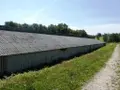 Divers a vendre Le Saint 56110 Morbihan 56 1 m2 335600 euros 56075-2414 021
