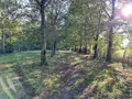 Terrains de loisirs bois etangs a vendre Saint-Georges-de-Montaigu 85600 Vendée 85 83900 euros 85020-1498 009