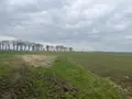 Terrain a batir a vendre Taupont 56800 Morbihan 56 104750 euros 56044-1495 004