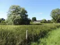 Terrains de loisirs bois etangs a vendre Évron 53600 Mayenne 53 91149 euros 53078-1890 006