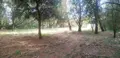 Terrain a batir a vendre Saint-Pierre-d'Oléron 17310 Charente-Maritime 17 230400 euros DD/JOM/25-12 001