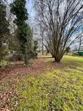 Terrain a batir a vendre Damparis 39500 Jura 39 79000 euros 39034-888 002