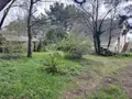 Maison a vendre Theix-Noyalo 56450 Morbihan 56 150 m2 6 pièces 599900 euros 56004-736 021