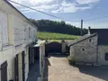 Maison a vendre Chinon 37500 Indre-et-Loire 37 129 m2 242100 euros 37094-44 006