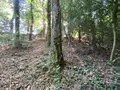 Maison a vendre Saint-Jean-Brévelay 56660 Morbihan 56 47 m2 2 pièces 59000 euros 56056-196 014
