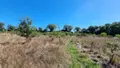 Maison a vendre Plusquellec 22160 Côtes-d'Armor 22 50 m2 3 pièces 63000 euros 29066-3913 019