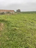 Terrain a batir a vendre Wambaix 59400 Nord 59 59800 euros 59191-5777 002