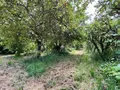 Maison a vendre Juillé 72170 Sarthe 72 93 m2 4 pièces 126000 euros 72126-3224 015