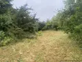 Maison a vendre Esquibien 29770 Finistère 29 74 m2 4 pièces 136050 euros 29021-2120 015