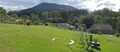 Terrain a batir a vendre Moussey 88210 Vosges 88 34000 euros 88061-873 001