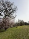Maison a vendre Montrevault-sur-Èvre 49600 Maine-et-Loire 49 250 m2 9 pièces 354900 euros 49055-89 006