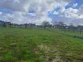 Terrain a batir a vendre Audruicq 62370 Pas-de-Calais 62 77184 euros 62098-2426 001