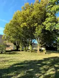 Maison a vendre Beaumont-Louestault 37360 Indre-et-Loire 37 266 m2 518000 euros 37009-2706 006