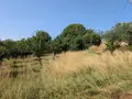 Terrain a batir a vendre Montoison 26800 Drôme 26 191000 euros 26072-786 001