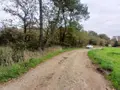 Terrains de loisirs bois etangs a vendre Allaire 56350 Morbihan 56 7500 euros 56084-354 005