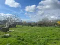 Maison a vendre Figeac 46100 Lot 46 185 m2 6 pièces 291000 euros MAIS165 003