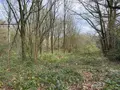 Maison a vendre Orgères 35230 Ille-et-Vilaine 35 53 m2 3 pièces 252000 euros 152 006