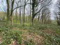 Maison a vendre Orgères 35230 Ille-et-Vilaine 35 53 m2 3 pièces 252000 euros 152 007