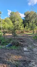Divers a vendre Sottevast 50260 Manche 50 5760 m2 17440 euros 70 001