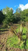 Divers a vendre Sottevast 50260 Manche 50 5760 m2 17440 euros 70 002