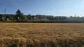Terrain a batir a vendre Le Val-Saint-Père 50300 Manche 50 659 m2 83080 euros TAB635 001