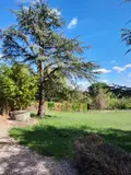 Maison a vendre Saint-Félix 46100 Lot 46 117 m2 3 pièces 219300 euros MAIS225 007