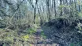 Terrains de loisirs bois etangs a vendre Guilligomarc'h 29300 Finistère 29 53600 euros 56081-2280 004