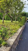 Terrain a batir a vendre Bruay-la-Buissière 62700 Pas-de-Calais 62 84000 euros 21/2524 002