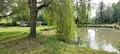 Terrains de loisirs bois etangs a vendre Bajus 62150 Pas-de-Calais 62 98000 euros 21/2550 007