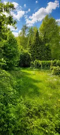Location maison Houdain 62150 Pas-de-Calais 62 101 m2 5 pièces 800 euros 170 018