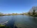 Terrains de loisirs bois etangs a vendre Connerré 72160 Sarthe 72 85000 euros 72033-426 001
