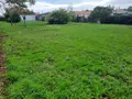 Terrain a batir a vendre Legé 44650 Loire-Atlantique 44 87860 euros 85091-5101 004