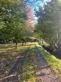 Maison a vendre Collorec 29530 Finistère 29 62 m2 2 pièces 211000 euros 29064-2886 017
