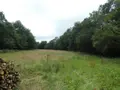 Terrain a batir a vendre Loqueffret 29530 Finistère 29 53000 euros 29129-1048 003