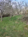 Maison a vendre Tennie 72240 Sarthe 72 60 m2 4 pièces 156840 euros 72125-60 010