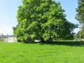 Maison a vendre Courson 14380 Calvados 14 40 m2 26000 euros 14076-5683 005