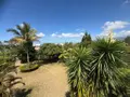 Maison a vendre Le Tampon 97430 La Réunion 974 163 m2 7 pièces 624000 euros 97410-721 020