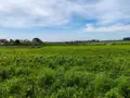 Terrain a batir a vendre Plougasnou 29630 Finistère 29 72725 euros 29107-2650 007