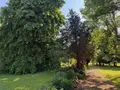 Maison a vendre Percy-en-Normandie 50410 Manche 50 180 m2 7 pièces 399939 euros 50038-2633 030