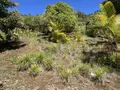 Maison a vendre Entre-Deux 97414 La Réunion 974 66 m2 3 pièces 367500 euros 97411-346 005