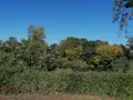 Maison a vendre Buxeuil 37160 Vienne 86 34 m2 2 pièces 47250 euros 37082-320 008