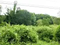 Terrains de loisirs bois etangs a vendre Plouray 56770 Morbihan 56 15990 euros 56075-2387 008