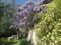 Viager maison Forcalquier 04300 Alpes-de-Haute-Provence 04 109 m2 5 pièces 120000 euros 04022-127 003