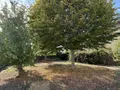 Maison a vendre Montsûrs 53150 Mayenne 53 135 m2 146000 euros 53004-1367 020