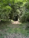 Terrains de loisirs bois etangs a vendre Noues de Sienne 14380 Calvados 14 168800 euros 14076-5956 012